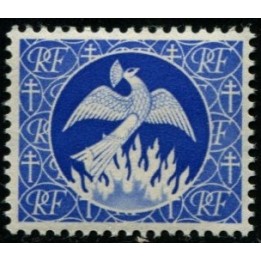 lot 3032g
