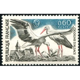 N°1755
