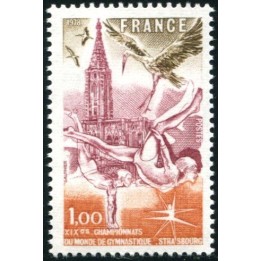 N°2019