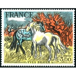 N°2026