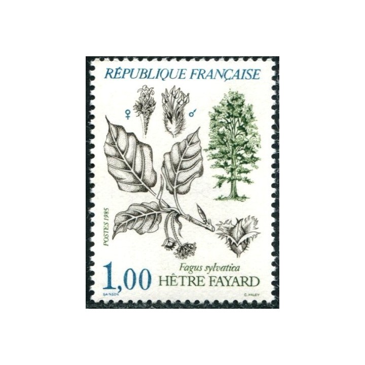 N°2384