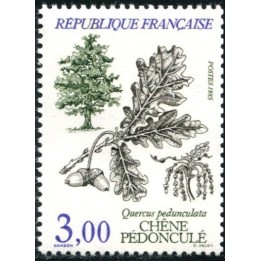 N°2386