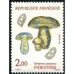 N°2488
