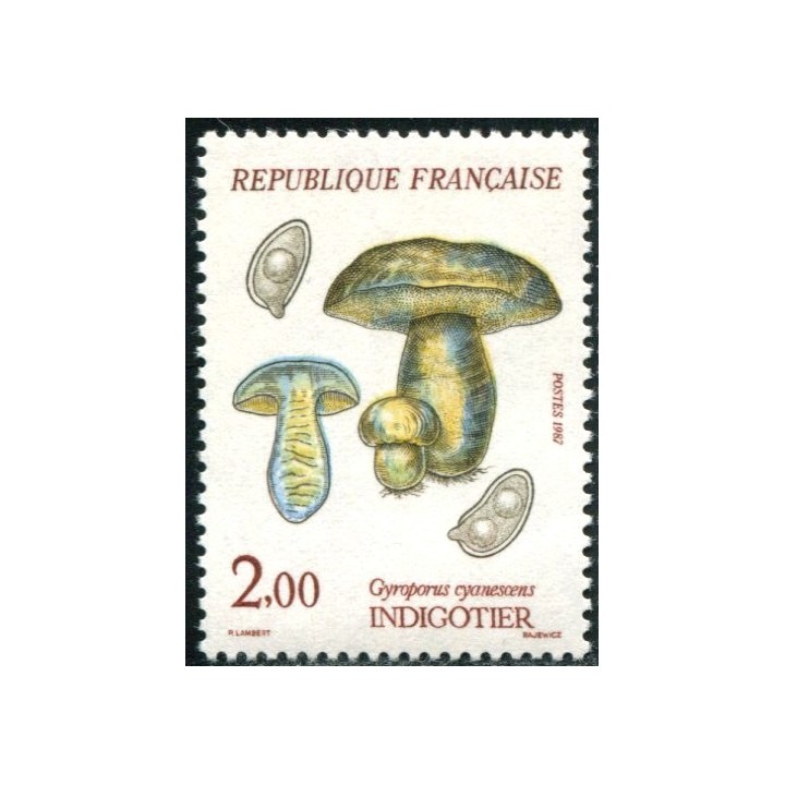 N°2488