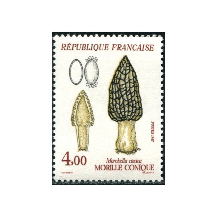 N°2490
