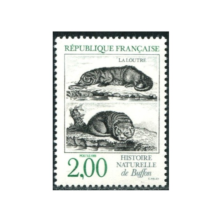 N°2539
