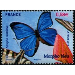 N°4497