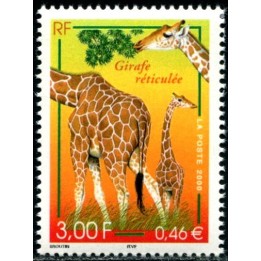 N°3333