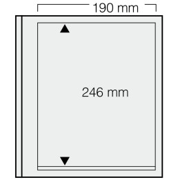 Feuilles "Spécial Dual"- 1 Bloc - 246mm - Paquet de 5