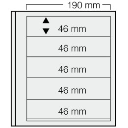 Feuilles "Spécial Dual"- 5 Bandes - 46mm - Paquet de 5