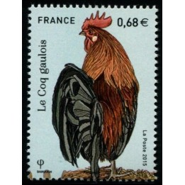 N°5007