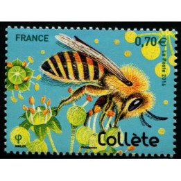 N°5051
