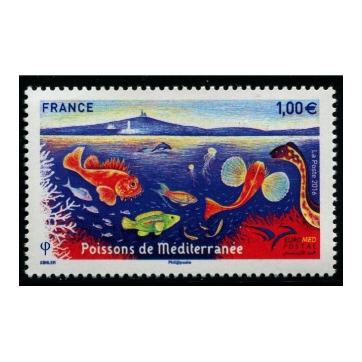 N°5077