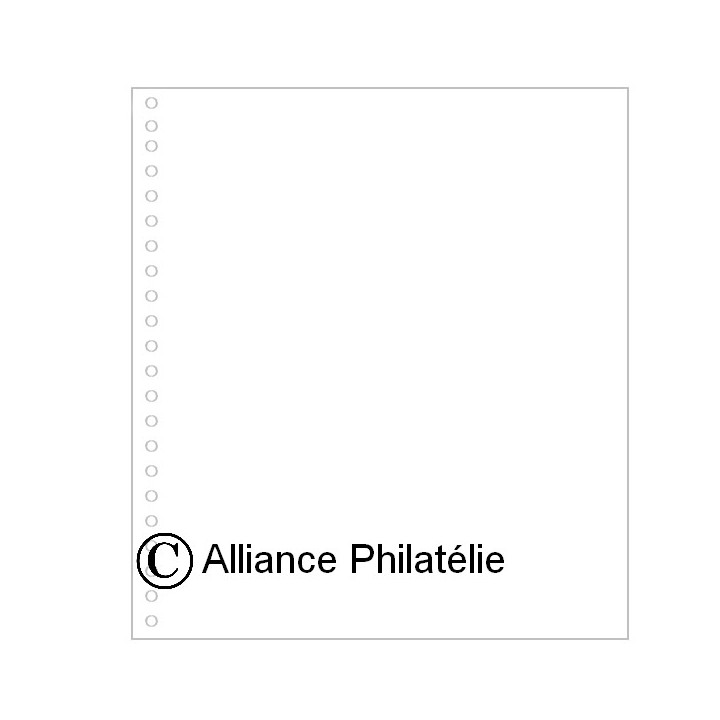 Pages vierges "SUPRA" : blanc sans cadre (x10)