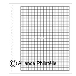 Pages vierges "SUPRA" : quadrillées (x50)
