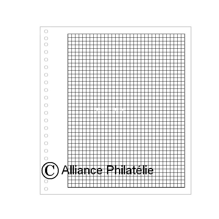 Pages vierges "SUPRA" : quadrillées (x50)
