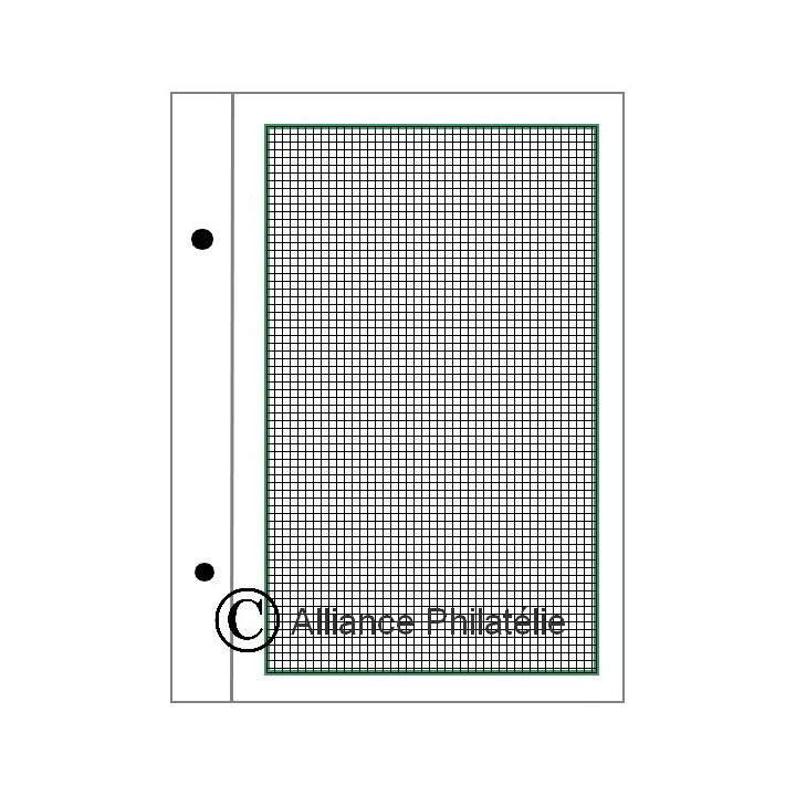 Feuilles à personnaliser FO : pages quadrillées (x50)