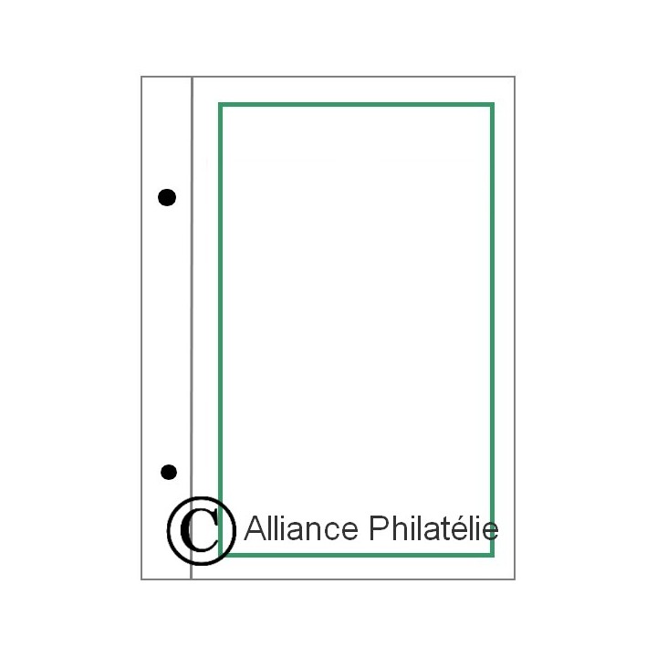 Feuilles à personnaliser FO : pages vierges (x50)