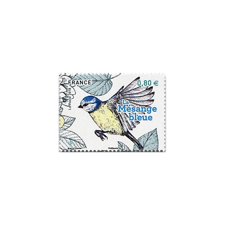 N°5238