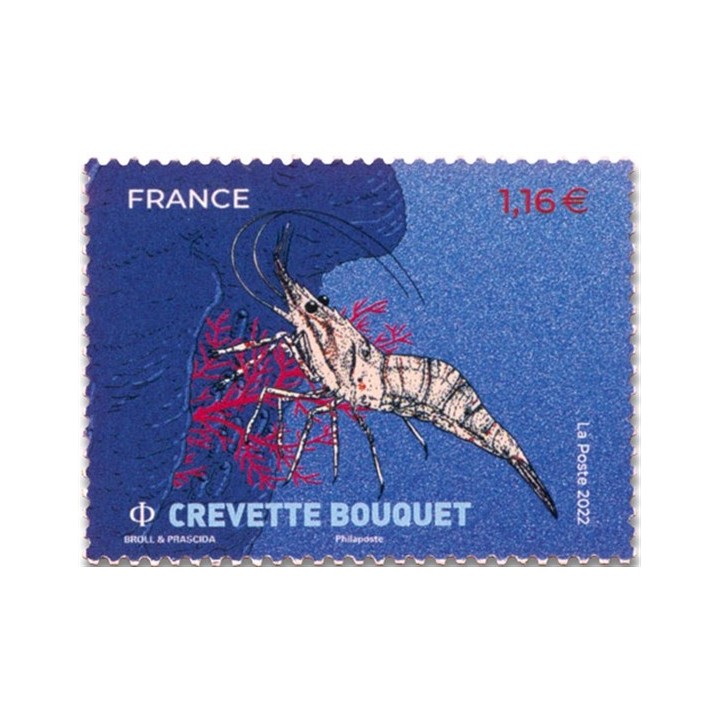 N°5556