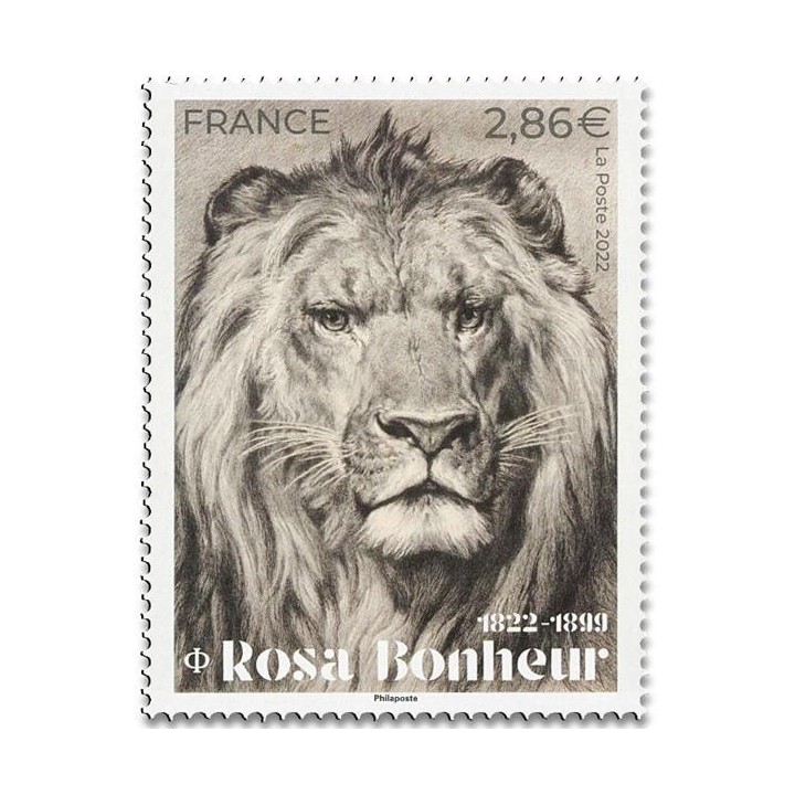 N°5561