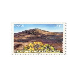 N°5877