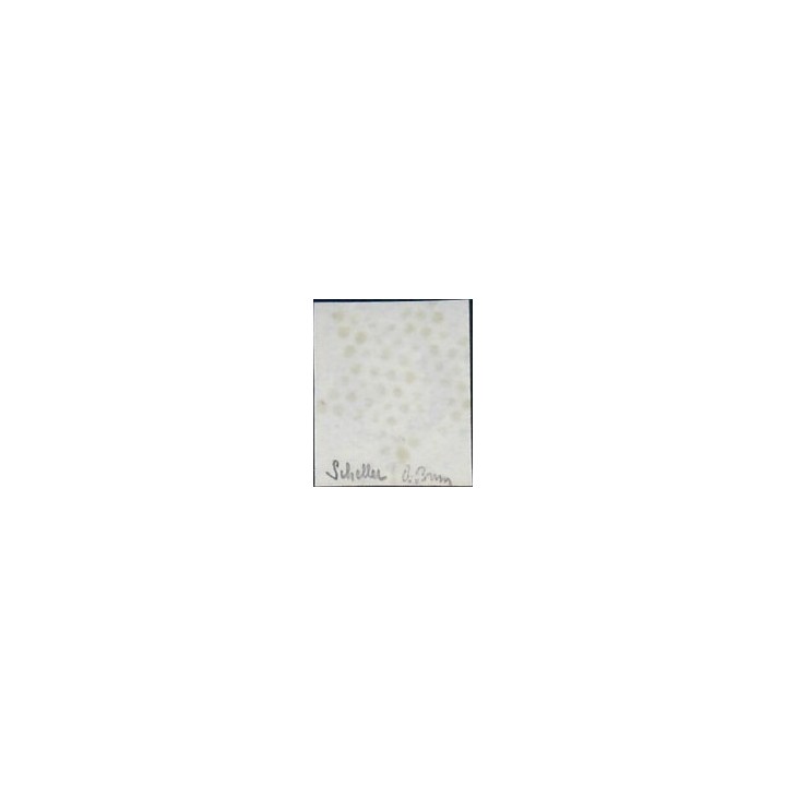 Lot C2845 - Classique - N°15 - Oblitéré Qualité TB