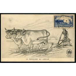 Lot A3308 - Cartes Maximum - N°457 - Oblitéré Qualité TB
